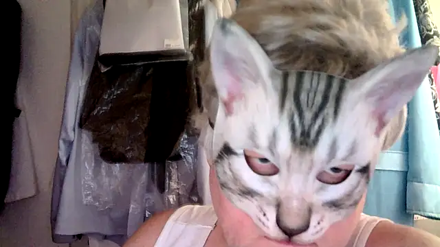 Snapshot of Sigorius chatting on 3, 6, 2026 Sigorius online show from 3, 6, 2026