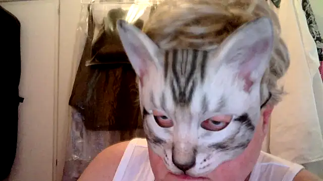 Snapshot of Sigorius chatting on 12, 7, 2026 Sigorius online show from 12, 7, 2026