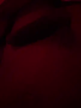 Snapshot of xforx chatting on 17, 12, 2025 xforx online show from 17, 12, 2025