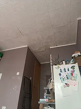 AmmyHot online show from 6, 3, 2026