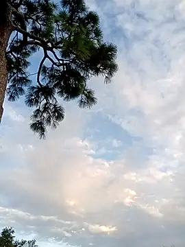 Hotbodyscottie online show from 5, 10, 2025