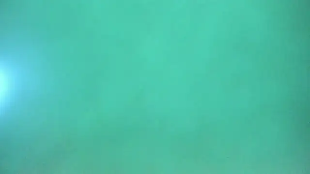 Snapshot of Harleysexycrazy chatting on 12, 12, 2024 Harleysexycrazy online show from 12, 12, 2024