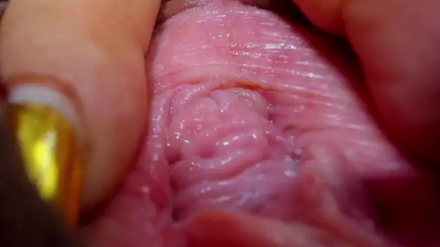 tatiana big ass boobs online show from 26, 2, 2025