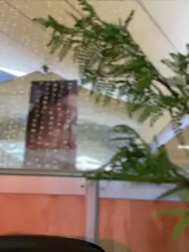 Emilia Bakerr online show from 15, 12, 2024