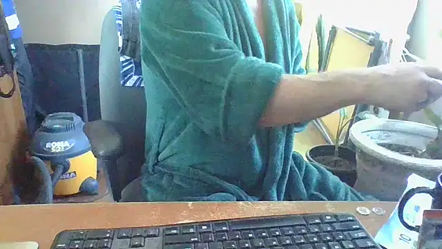 Daremeknot online show from 1, 2, 2025