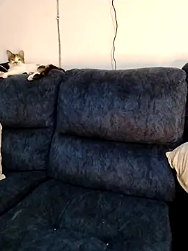 MrsFoucher online show from 12, 2, 2026