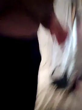 Snapshot of sweetkitty111 chatting on 16, 2, 2026 sweetkitty111 online show from 16, 2, 2026