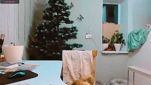 Snapshot of RosaJil chatting on 17, 12, 2024 RosaJil online show from 17, 12, 2024