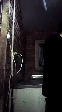 Cameron puppy online show from 7, 3, 2025