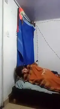 Cameron puppy online show from 11, 3, 2025