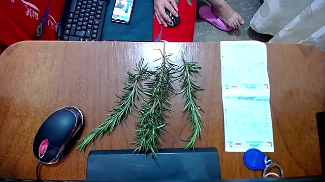 Snapshot of Malaya88 chatting on 16, 2, 2025 Malaya88 online show from 16, 2, 2025