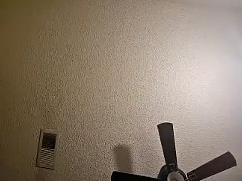 Forbidden daddy online show from 13, 12, 2024