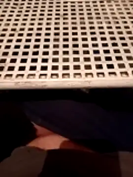 Snapshot of Mattias38 chatting on 13, 2, 2026 Mattias38 online show from 13, 2, 2026