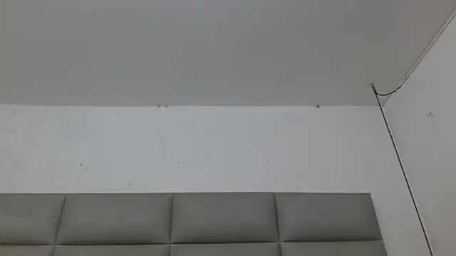 emily brontee  online show from 4, 11, 2025