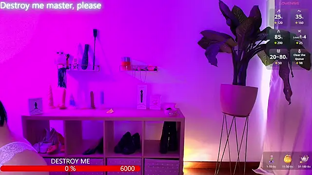 catha cat online show from 24, 11, 2025