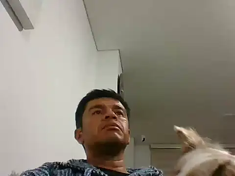 Snapshot of perxxxeo_ chatting on 11, 10, 2025 perxxxeo online show from 11, 10, 2025