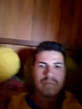 denca28 online show from 8, 3, 2026