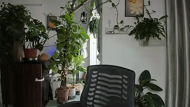 Oliver Nl online show from 14, 12, 2025