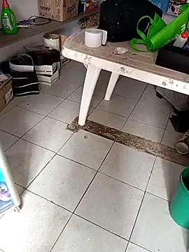 Snapshot of VivienAndClark chatting on 2, 12, 2025 VivienAndClark online show from 2, 12, 2025