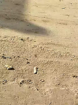 Monster Bigdick online show from 8, 12, 2024