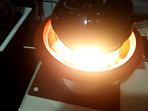 Snapshot of perversalus chatting on 8, 12, 2024 perversalus online show from 8, 12, 2024