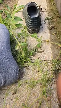 anald66666 online show from 23, 4, 2026