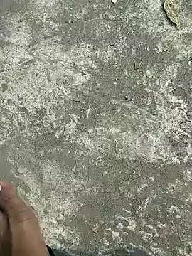 rana cute online show from 5, 2, 2025