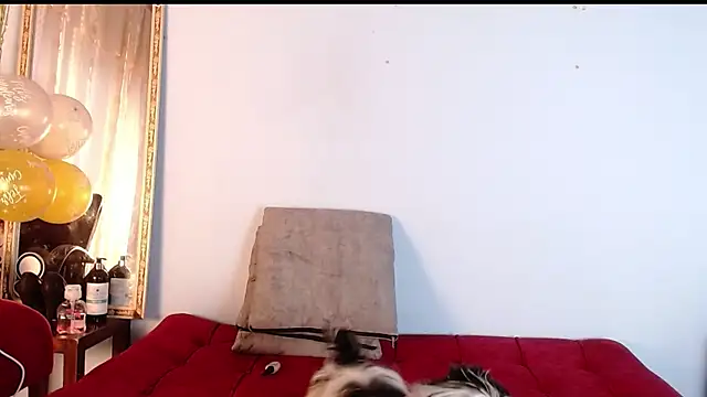 Snapshot of Tamararios chatting on 27, 11, 2025 Tamararios online show from 27, 11, 2025