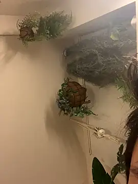 Snapshot of IroManager chatting on 15, 9, 2025 IroManager online show from 15, 9, 2025