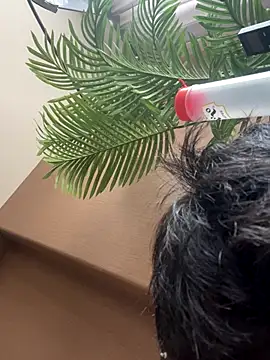 Snapshot of IroManager chatting on 18, 9, 2025 IroManager online show from 18, 9, 2025