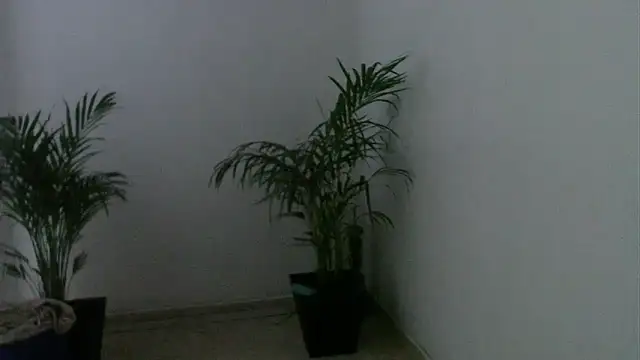 skylarhot420 online show from 5, 3, 2025