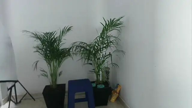 skylarhot420 online show from 5, 3, 2025