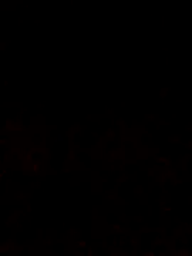 Snapshot of Adee21e chatting on 12, 10, 2025 Adee21e online show from 12, 10, 2025