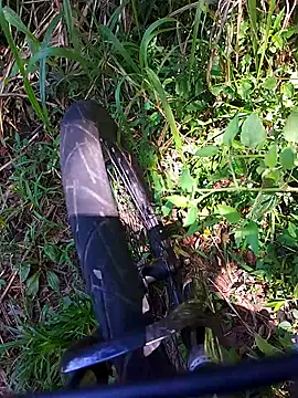 Adee21e online show from 21, 11, 2025