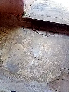 rau 4455 online show from 26, 10, 2025