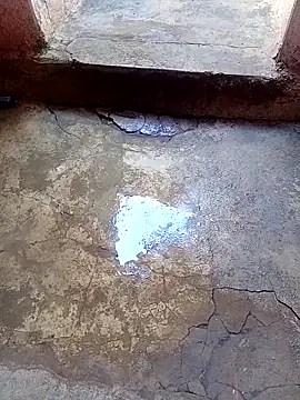 rau 4455 online show from 24, 11, 2025