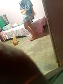 rau 4455 online show from 28, 11, 2025