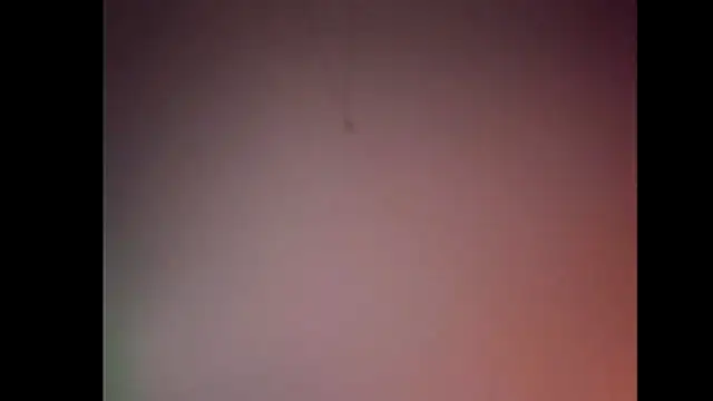 Pegg-fist-me online show from 28, 11, 2025