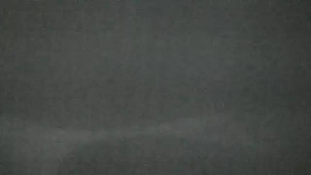 canela wet online show from 14, 2, 2025