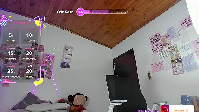 Pucaa  online show from 19, 2, 2026