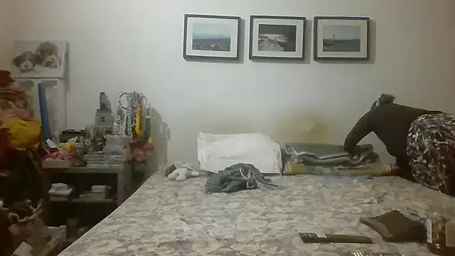 brasiliana49 online show from 16, 5, 2026