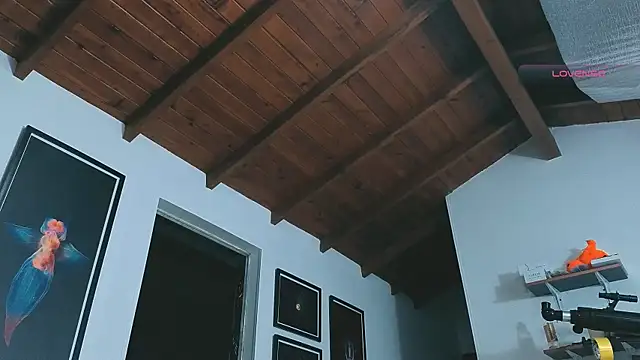 SilvaBranko online show from 14, 3, 2026