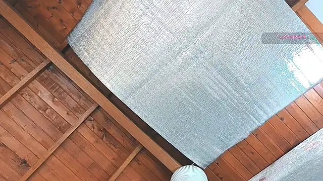 SilvaBranko online show from 16, 3, 2026