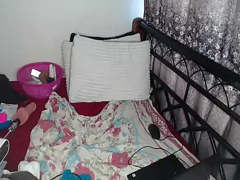 Snapshot of Whimsicalwillow chatting on 6, 6, 2026 Whimsicalwillow online show from 6, 6, 2026