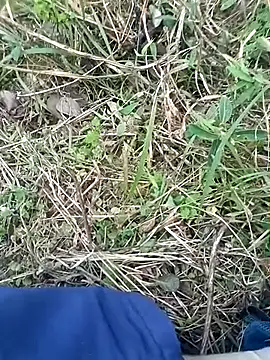 Snapshot of Nkumar173 chatting on 8, 11, 2025 Nkumar173 online show from 8, 11, 2025