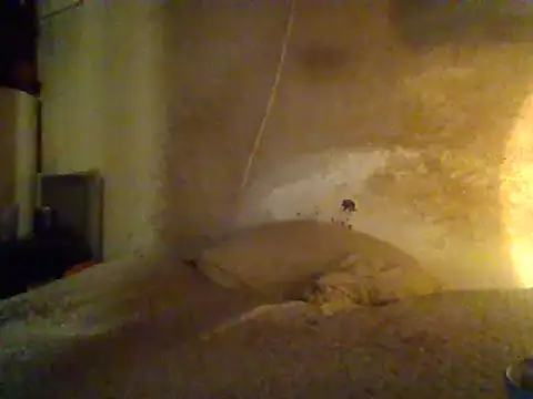 Nightshade7712 online show from 19, 2, 2025