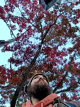 Armyexhibitionistvet online show from 28, 10, 2025