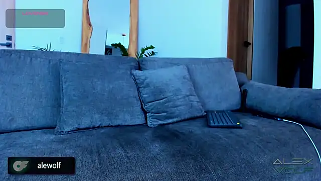 Snapshot of alex_wolf_ chatting on 28, 11, 2025 alex wolf online show from 28, 11, 2025