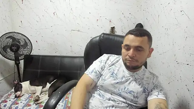  ace ventura online show from 22, 12, 2025