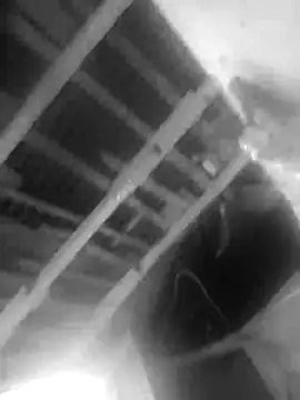 Snapshot of Jerryhottt chatting on 20, 11, 2025 Jerryhottt online show from 20, 11, 2025